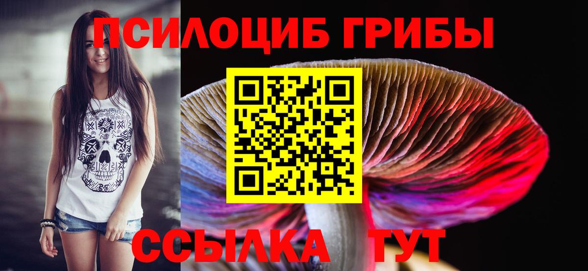 Псилоцибиновые грибы MAGIC MUSHROOMS  Вход с VPN  Белая Калитва 